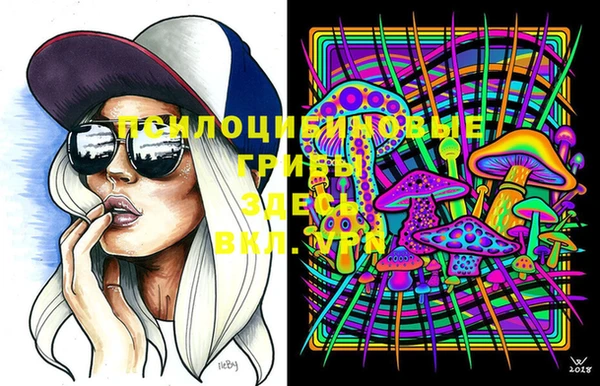 PSILOCYBIN Саяногорск