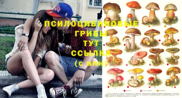 apvp Баксан